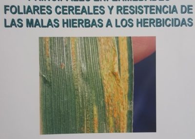 CHARLA INFORMATIVA sobre Enfermedades en el Cereal y Resistencias de las Malas Hierbas.