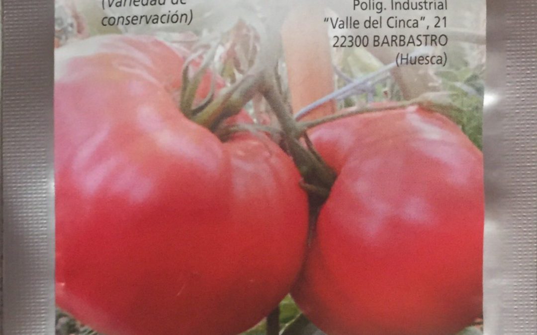 Fiesta del Plantero en Barbastro….1 Mayo 2018