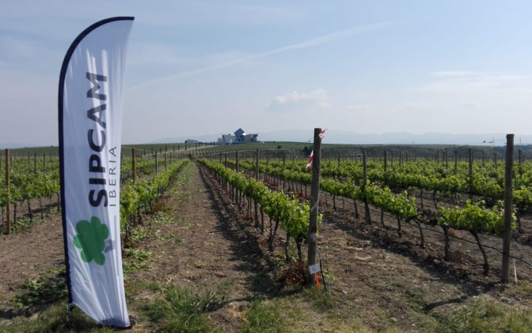 Jornada en Viña 16/05/2018 SCLAB-SIPCAM