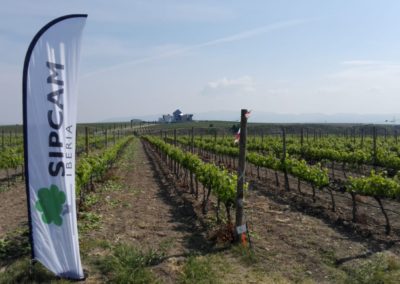 Jornada en Viña 16/05/2018 SCLAB-SIPCAM